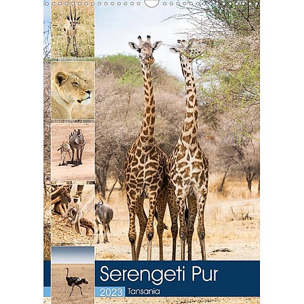 Serengeti Pur - Tansania (Wandkalender 2023 DIN A3 hoch), Sabine Reuke