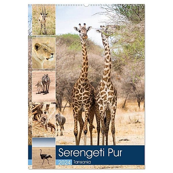 Serengeti Pur - Tansania (Wandkalender 2024 DIN A2 hoch), CALVENDO Monatskalender, Sabine Reuke