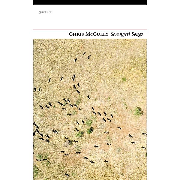 Serengeti Songs, Chris McCully