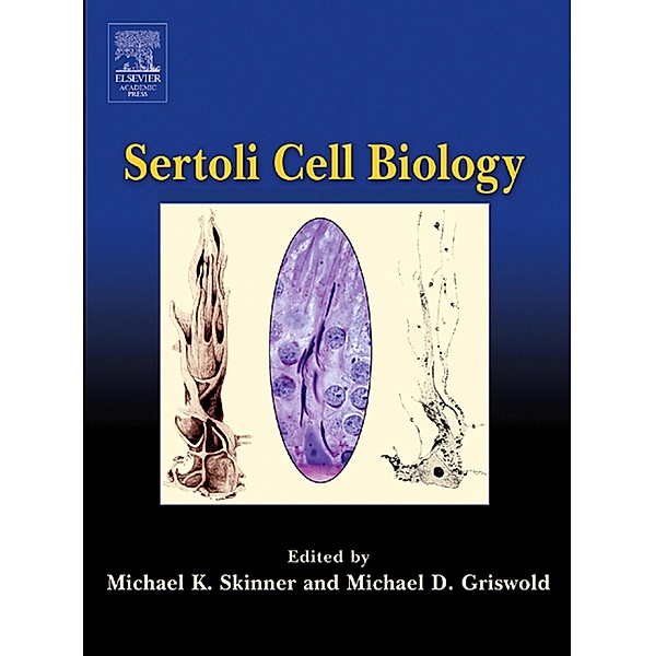 Sertoli Cell Biology