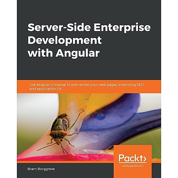 Server-Side Enterprise Development with Angular, Bram Borggreve
