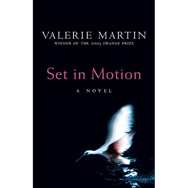 Set In Motion, Valerie Martin