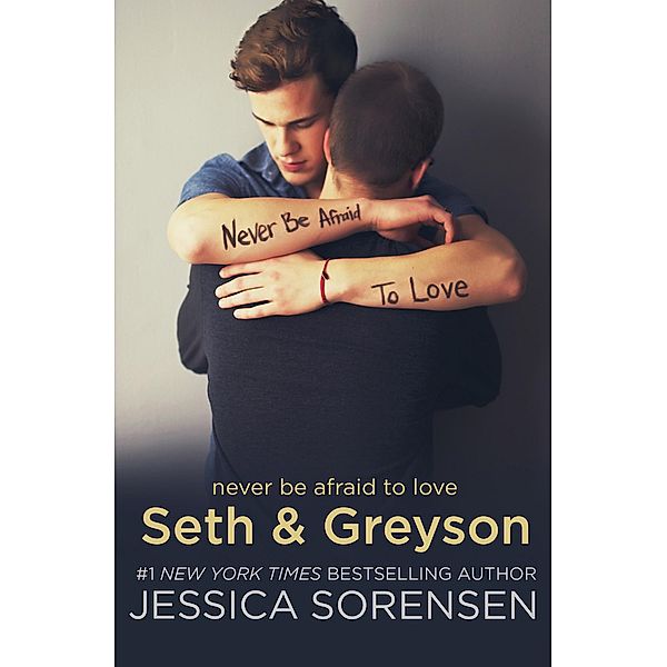 Seth & Greyson (The Coincidence Series, #6.5) / The Coincidence Series, Jessica Sorensen