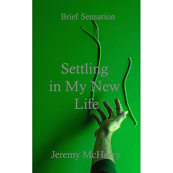Settling in My New Life / Brief Sensation Bd.10, Jeremy McHarry