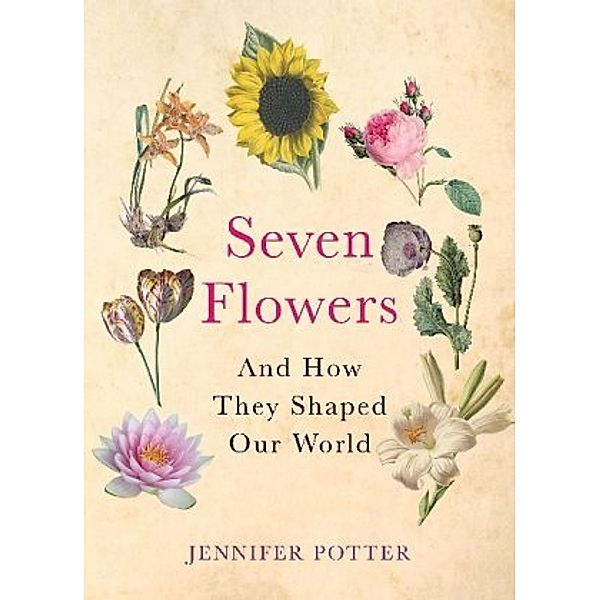 Seven Flowers, Jennifer Potter