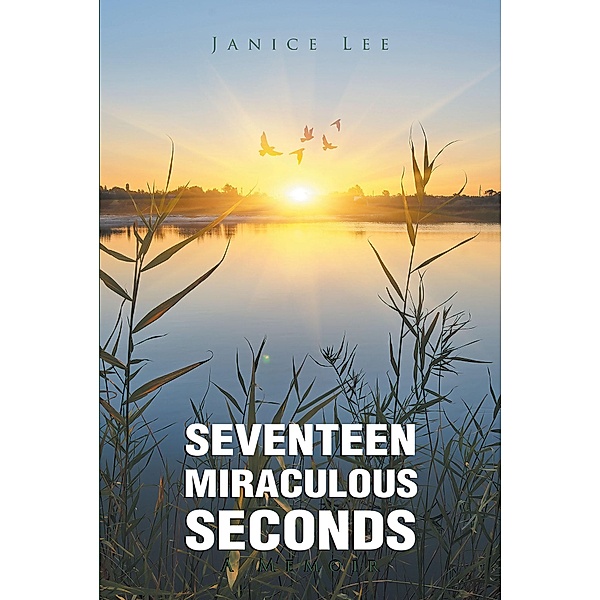 Seventeen Miraculous Seconds, Janice Lee