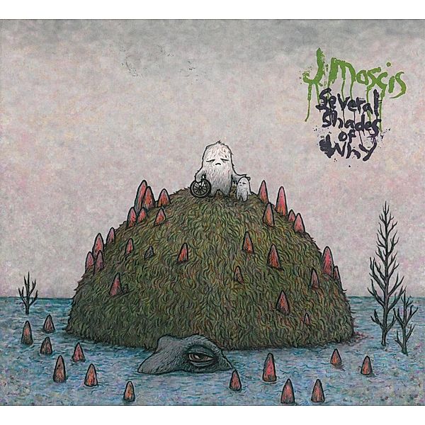 Several Shades Of Why, J. Mascis