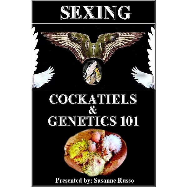 Sexing Cockatiels & Genetics 101, Susanne Russo