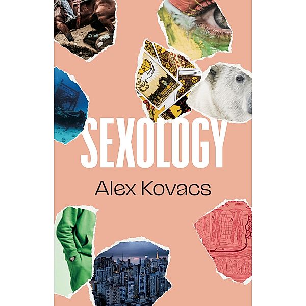 Sexology / British Literature, Alex Kovacs