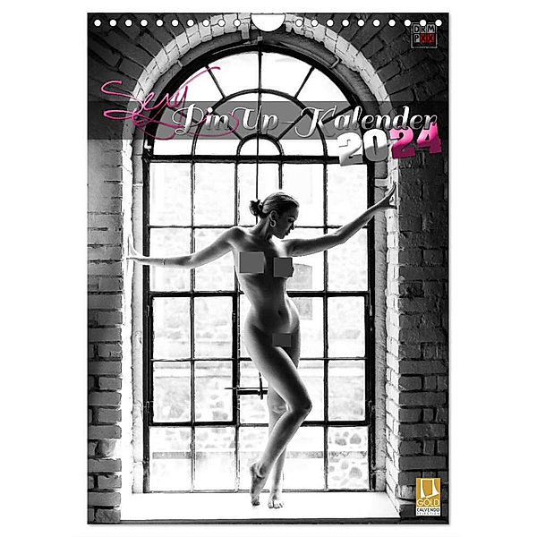Sexy PinUp-Kalender 2024 (Wandkalender 2024 DIN A4 hoch), CALVENDO Monatskalender, DREAMPIXX