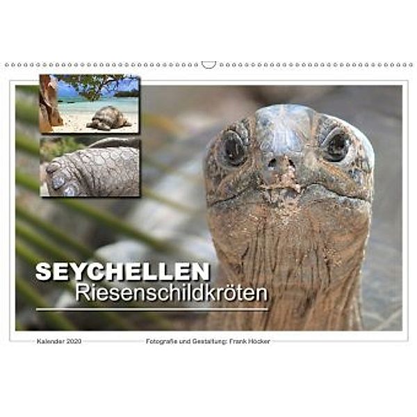 Seychellen Riesenschildkröten (Wandkalender 2020 DIN A2 quer), Frank Höcker