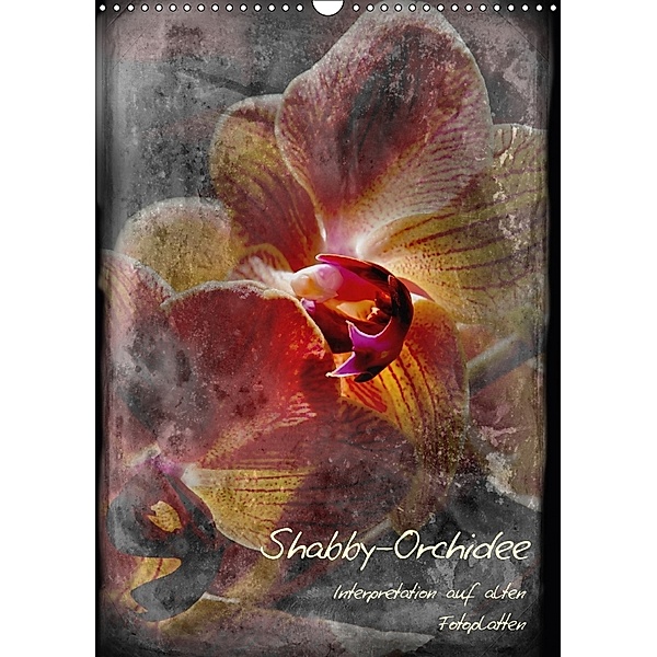 Shabby - Orchidee, Interpretation auf alten Fotoplatten (Wandkalender 2018 DIN A3 hoch), Erwin Renken