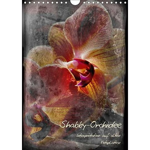 Shabby - Orchidee, Interpretation auf alten Fotoplatten (Wandkalender 2020 DIN A4 hoch), Erwin Renken