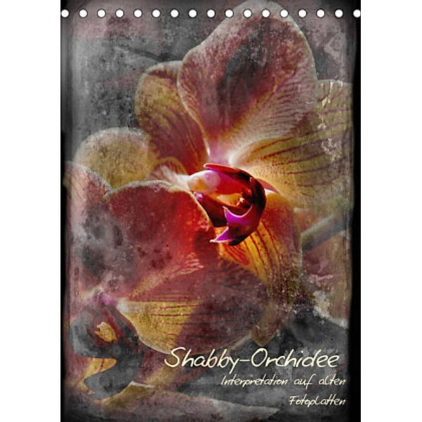 Shabby - Orchidee, Interpretation auf alten Fotoplatten (Tischkalender 2022 DIN A5 hoch), Erwin Renken