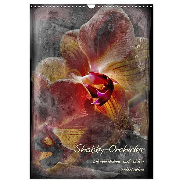 Shabby - Orchidee, Interpretation auf alten Fotoplatten (Wandkalender 2024 DIN A3 hoch), CALVENDO Monatskalender, Erwin Renken