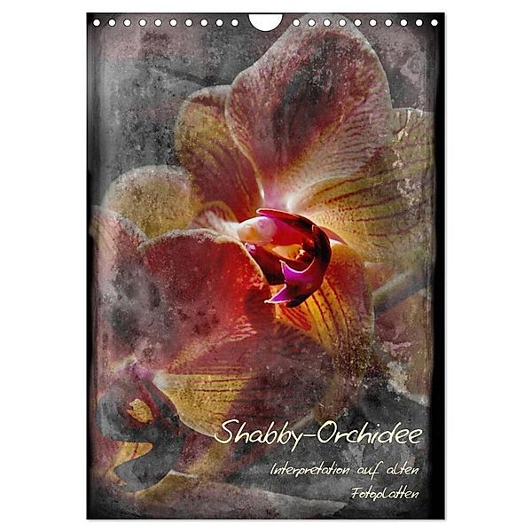 Shabby - Orchidee, Interpretation auf alten Fotoplatten (Wandkalender 2024 DIN A4 hoch), CALVENDO Monatskalender, Erwin Renken