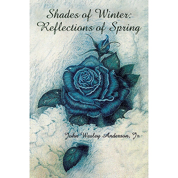 Shades of Winter, John Wesley Anderson Jr.