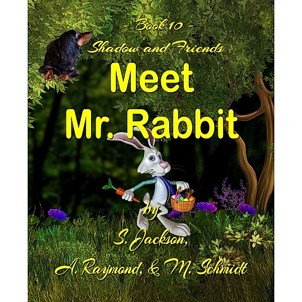 Shadow and Friends Meet Mr. Rabbit / Shadow and Friends, S. Jackson, M. Schmidt