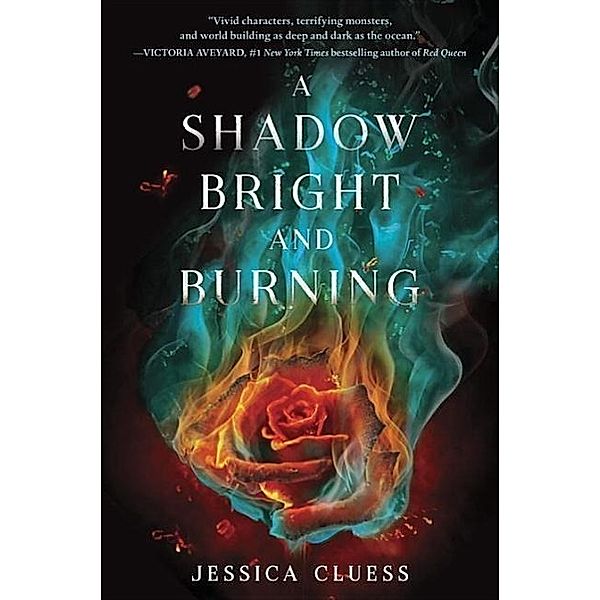 SHADOW BRIGHT & BURNING (KINGD, Jessica Cluess