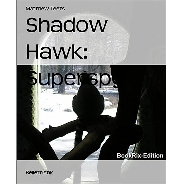 Shadow Hawk: Superspy, Matthew Teets