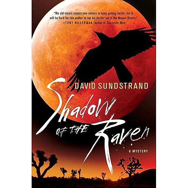Shadow of the Raven / Frank Flynn Mystery Series Bd.1, David Sundstrand