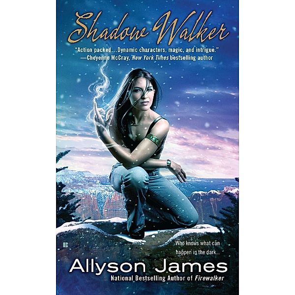 Shadow Walker / Stormwalker Bd.3, Allyson James
