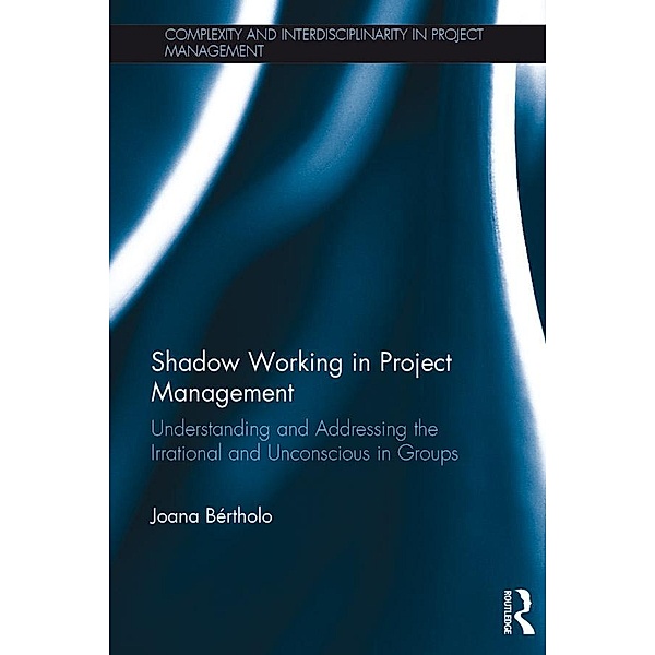Shadow Working in Project Management, Joana Bértholo
