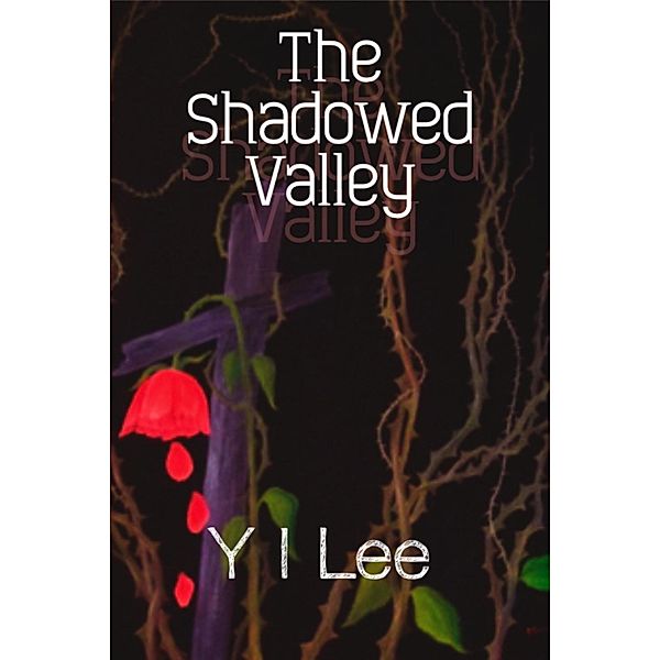 Shadowed Valley / Y I Lee, Y I Lee