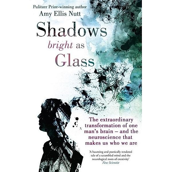 Shadows Bright as Glass, Amy E. Nutt