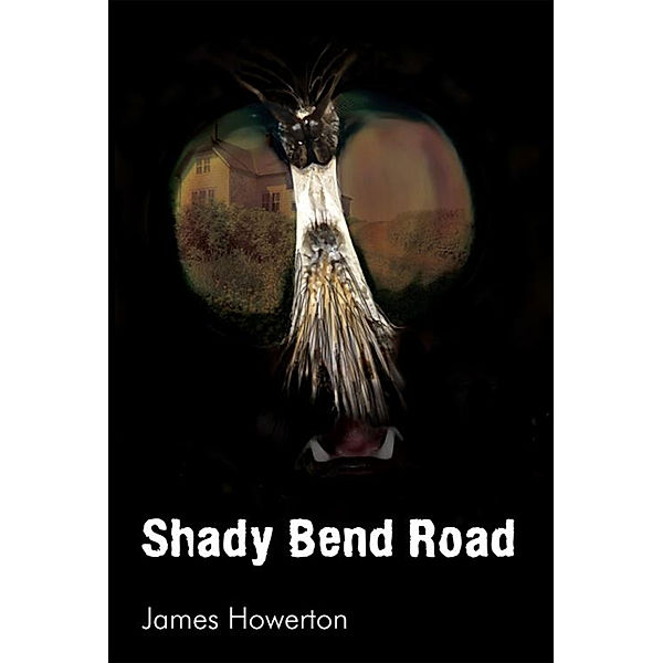 Shady Bend Road, James Howerton