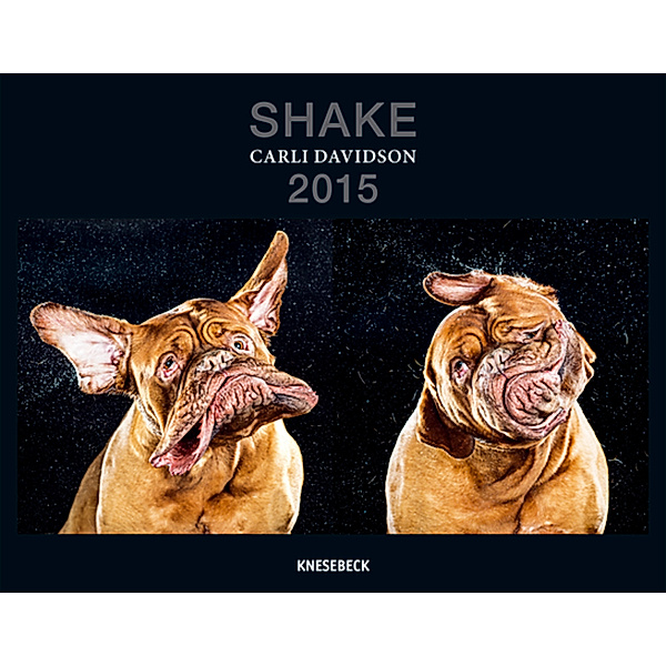 Shake 2015