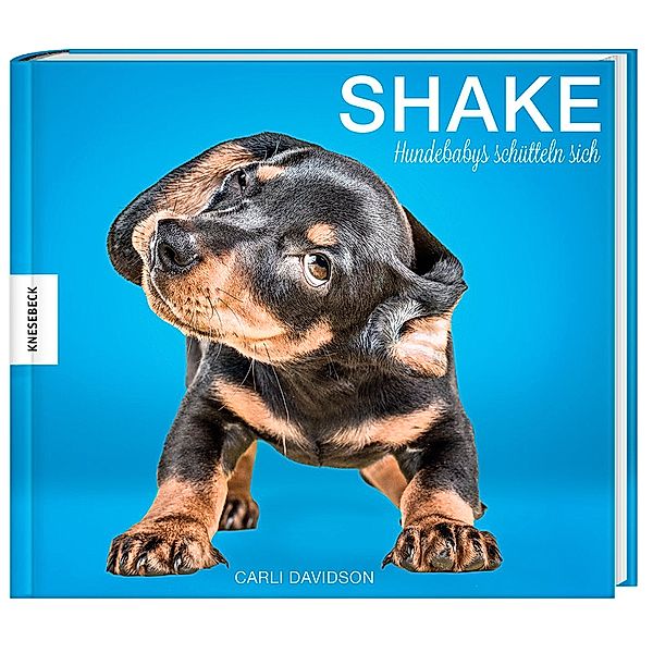 Shake - Hundebabys schütteln sich, Carli Davidson