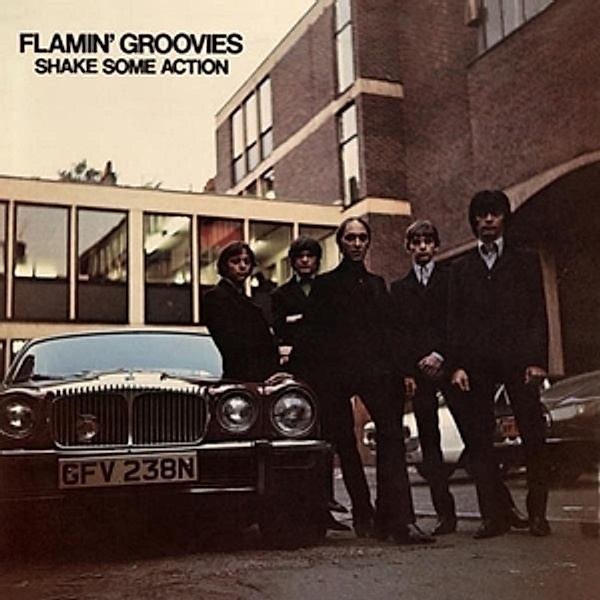 Shake Some Action, Flamin' Groovies
