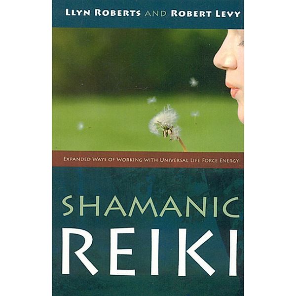 Shamanic Reiki: Expanded Ways Of Working, Llyn Roberts