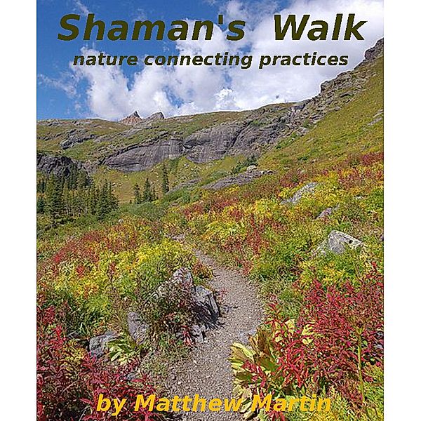 Shaman's Walk, Matthew Martin