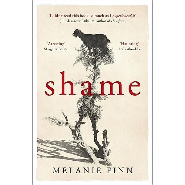 Shame, Melanie Finn