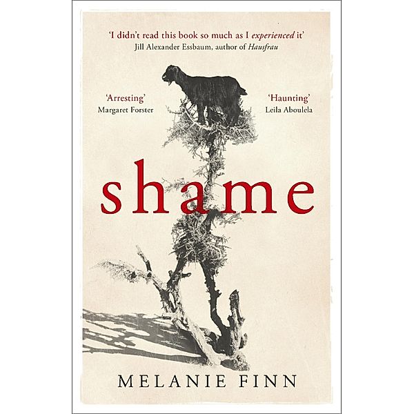 Shame, Melanie Finn
