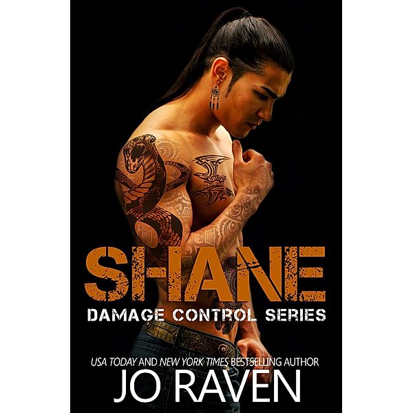 Shane (Damage Control #4), Jo Raven