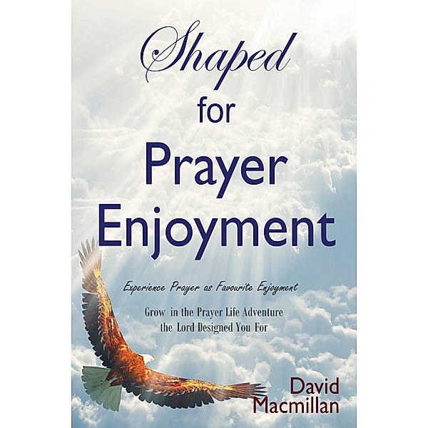 Shaped for Prayer Enjoyment, David MacMillan