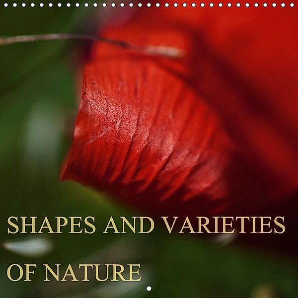 Shapes and Varieties of Nature (Wall Calendar 2017 300 × 300 mm Square), Tajana Brajkovic