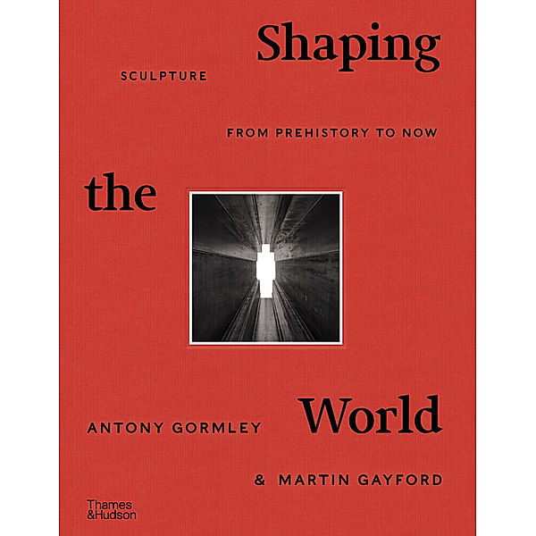 Shaping the World, Antony Gormley, Martin Gayford