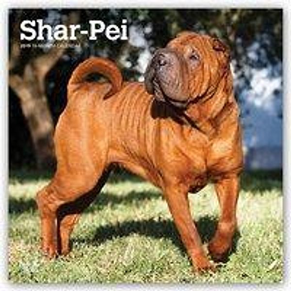 Shar Pei - Shar-Pei 2019 - 18-Monatskalender mit freier DogD