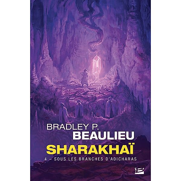 Sharakhaï, T4 : Sous les branches d'adicharas / Sharakhaï Bd.4, Bradley P. Beaulieu