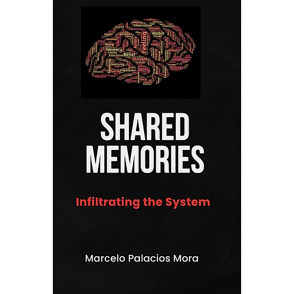 Shared Memories: Infiltrating the system, Marcelo Palacios