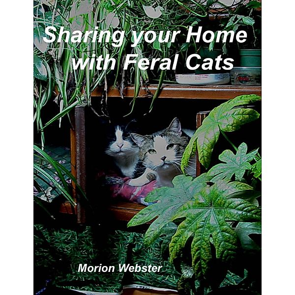 Sharing Your Home With Feral Cats, Morion Webster