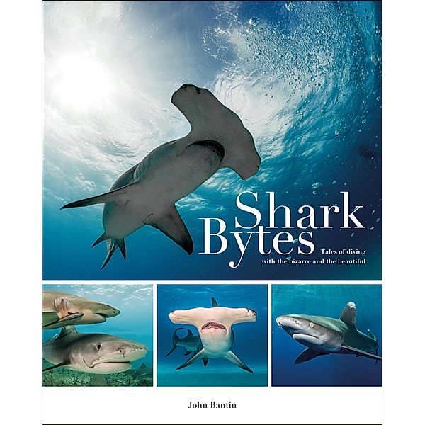 Shark Bytes, John Bantin