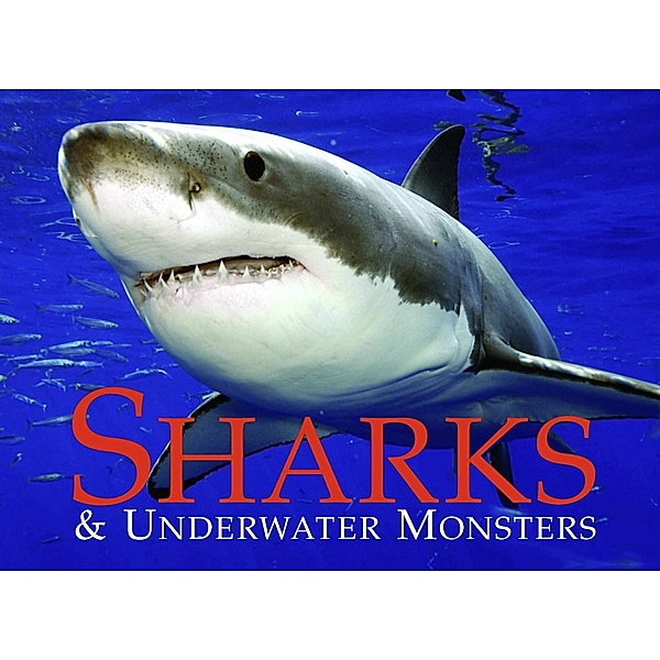 Sharks & Underwater Monsters, Paula Hammond