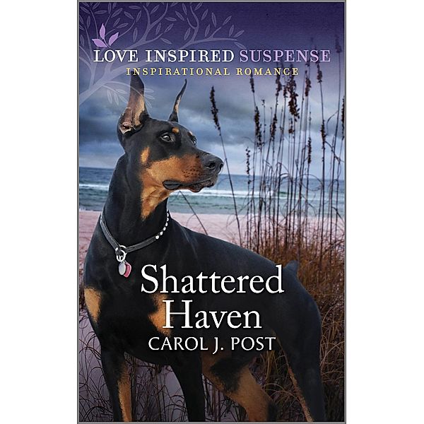 Shattered Haven, Carol J. Post