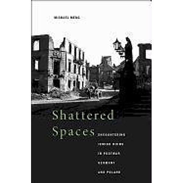 Shattered Spaces: Encountering Jewish Ruins in Postwar Germany and Poland, Michael Meng