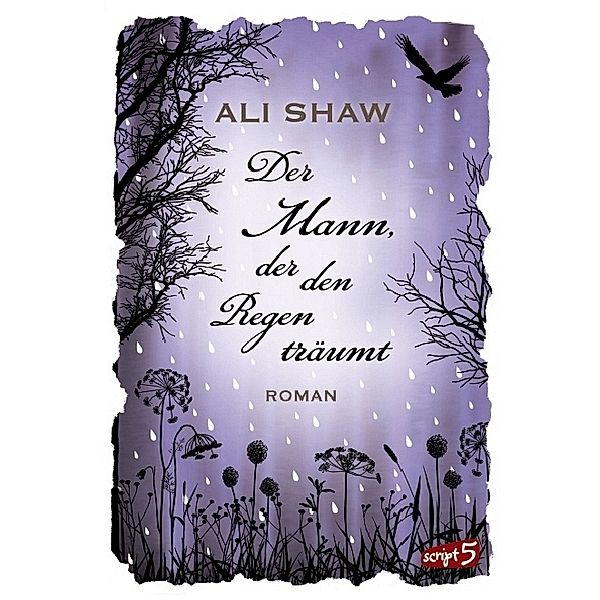 Shaw, A: Mann, der den Regen träumt, Ali Shaw